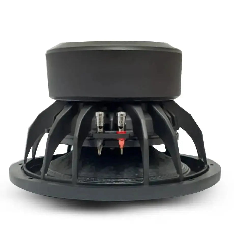 Audio Gods Triton Plus Series 12" D2 DVC Subwoofer (10000W)