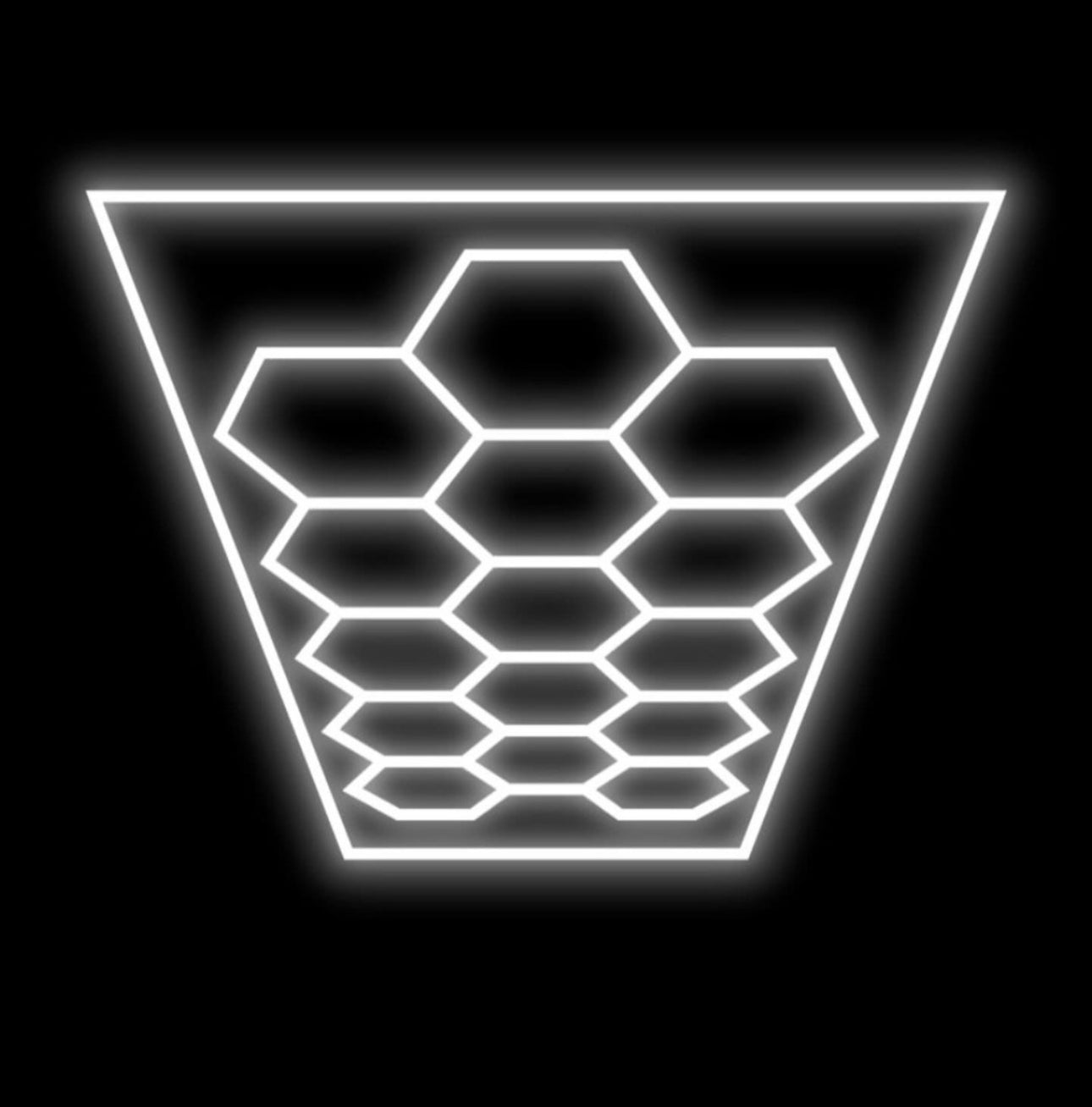 Hexagon led lights 2.4m x4.8m WHOLESALE PRICE DIRECT TO PUBLIC !