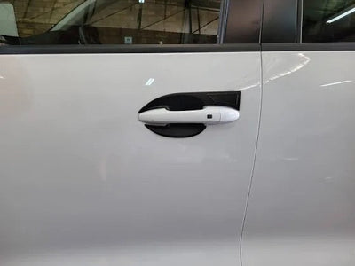 Door handle bowls GWM P-series 2021+