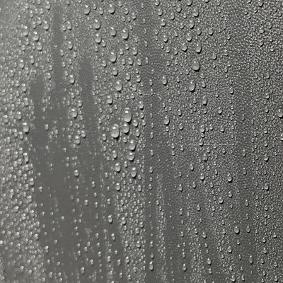 DETAILEASE Back To Black - Plastic Reviv