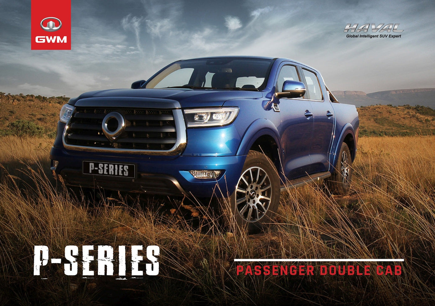 BONNET GUARD CARBON GWM P SERIES